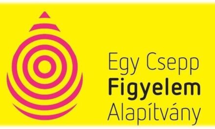 TÓTH VERA ÉS TARJÁN ZSÓFI SOKAT TANULT BETEGSÉGÉBŐL