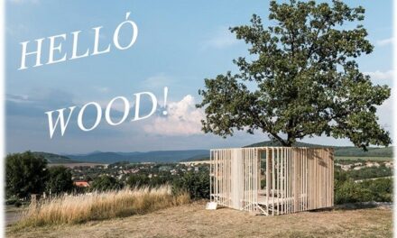 Véget ért a Hello Wood Építész Mustra Tokaj borvidéken