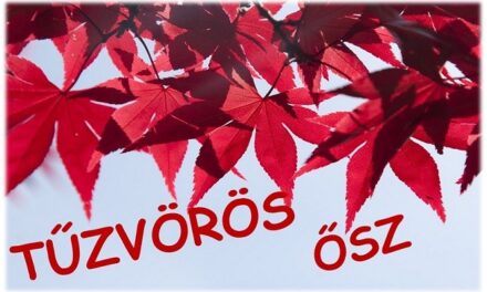 Tüzes vörössel és talpig farmerrel hódít az ősz