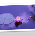 A kreatív képzelet ajándéka – Belső átélések ereje