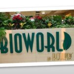 „Élj másképp, élj tovább!”  – Megnyitott az egészséget támogató „Bioworld by Kellys” üzlet