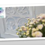 A színek szerelmese