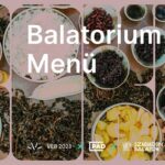 Kóstoljuk meg a Balatont!