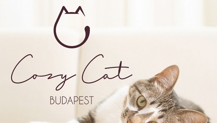 Gondtalan utazás macska tulajdonosoknak – Biztonságos és kényelmes megoldás kedvencük számára!