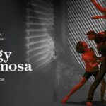 Új előadással bővült A vágy villamosa-sorozat az Eiffel Műhelyházban