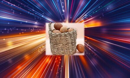 Mi a különbség a protein- és az energiaszelet között?