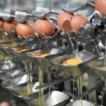 Koleszterinszint: Miért ítélték el, és mentették fel a tojást? – A táplálkozással bevitt koleszterin hatása az emberi szervezetre