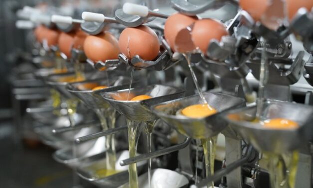 Koleszterinszint: Miért ítélték el, és mentették fel a tojást? – A táplálkozással bevitt koleszterin hatása az emberi szervezetre