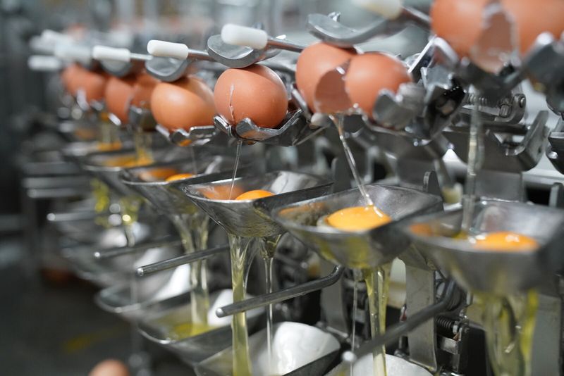 Koleszterinszint: Miért ítélték el, és mentették fel a tojást? – A táplálkozással bevitt koleszterin hatása az emberi szervezetre