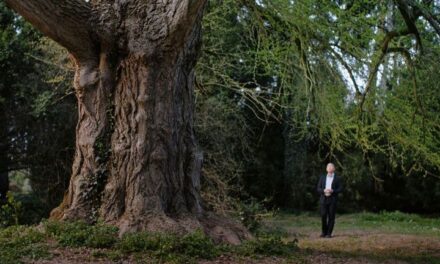 A Csendes barát operatőre, Pálos Gergely díjat nyert a 61. Chicagói Nemzetközi Filmfesztiválon – A film kedden a BIFF-en látható, a fesztivál a bevételt jótékony célra ajánlotta fel