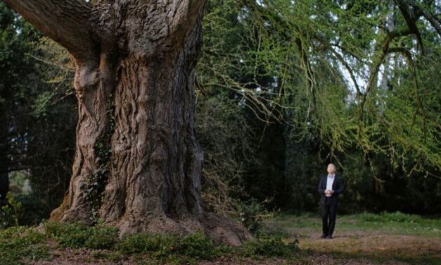 A Csendes barát operatőre, Pálos Gergely díjat nyert a 61. Chicagói Nemzetközi Filmfesztiválon – A film kedden a BIFF-en látható, a fesztivál a bevételt jótékony célra ajánlotta fel