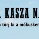 Így vásárol a modern magyar nő – A vásárlói élmény alapja az érzelem és a tisztelet
