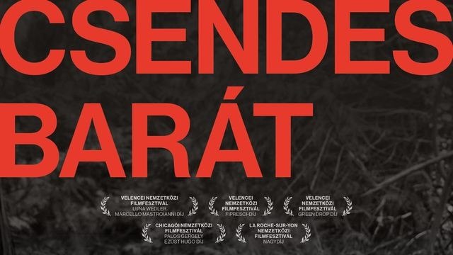 Enyedi Ildikónak ítélték a Femme de Cinéma Sisley – Les Arcs díjat