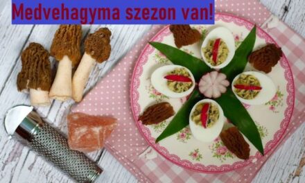 Medvehagyma szezon van, íme néhány egészségtudatos recept