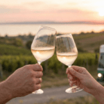 Megérkezett Magyarország első hop-on hop-off borbusza a Balaton-partra – 22 pincészet, két különleges útvonal, díjnyertes borok és csodálatos balatoni panoráma az idei szezon legnagyobb attrakciója
