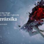 10 éves álomból ébred a Magyar Nemzeti Balett Csipkerózsika-előadása