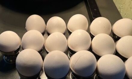 Mi történik egy tojásban omlett vagy főtt tojás készítés közben?